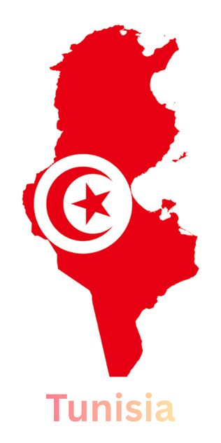 Banner Eazy2Go / Algeria & Tunisia / B2B Travel Booking and Tourism Services