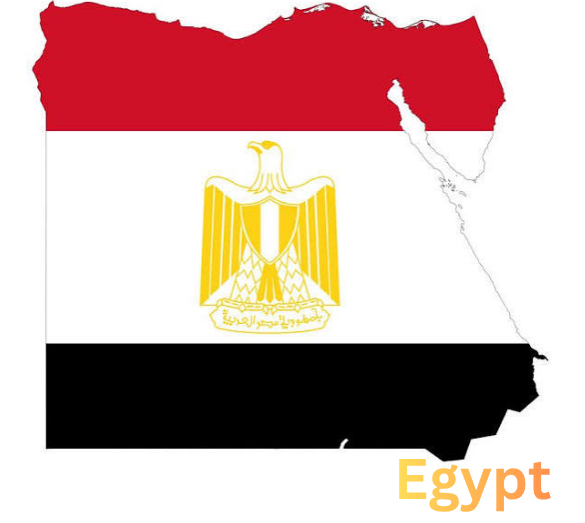 Banner FIVE STARS FLOUR MILLS / Egypt / Flour milling and wheat-based food products